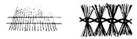 Twisted in Wire.jpg